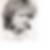 Profilbild von Susanne Pelargus