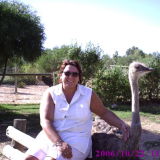 Profilfoto von Anja Müller