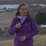 Profilfoto Roswitha Bronner Profilfoto von Roswitha Bronner