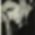 Profilbild von Stefan Neumann