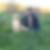 Profilbild von Stefan Bothe
