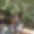 Profilbild von Nicole Dena