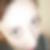 Profilbild von Maria Andrijanic