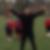 Profilbild von Ramazan Yalman