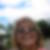 Profilbild von Annett Braumann