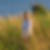 Profilbild von Andrea Heintz