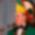Profilbild von Daniel Haufe
