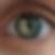 Profilbild von Claudia Lübke