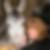 Profilbild von Karen Henninger