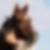 Profilbild von Alexandra Stocks