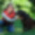 Profilbild von Silke Eickmeier