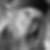 Profilbild von Beate Lehmann