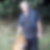Profilbild von Michael Ostermann