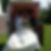 Profilbild von Bente Turan