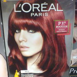 Profilfoto von Dagmar Möller