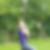 Profilbild von Aline Murawski