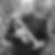 Profilbild von Dieter Hammer