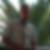 Profilbild von Frank Sperlich
