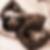 Profilbild von Neriman Dogan
