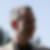 Profilbild von Volkmar Berbrich