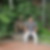 Profilbild von Friedhelm Borchers