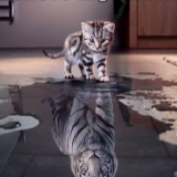 Profilfoto von Rüdiger Müller