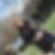 Profilbild von Heidrun Gottert
