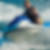 Profilbild von Norbert Sauer
