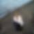 Profilbild von Nicole Scholz