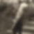 Profilbild von Uwe Heinrich