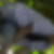 Profilbild von Thomas Lawrenz