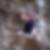 Profilbild von Marco Schippling