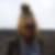 Profilbild von Petra Hogh