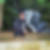 Profilbild von Holger Stumpe