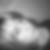 Profilbild von Susann Finger