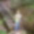 Profilbild von Karin Ansorg