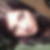Profilbild von Jessica Weis