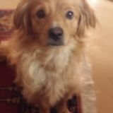 Profilfoto Elke Haupt Profilfoto von Elke Haupt