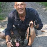 Profilfoto von Bernd Koenig