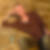 Profilbild von Thoralf Schmidt