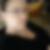 Profilbild von Nadine Leitner