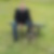 Profilbild von Frank Twellmann
