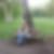 Profilbild von Peter Niese