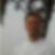 Profilbild von Henning Pettig