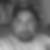 Profilbild von Danny Gebhardt