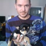 Profilfoto von Roman Schall