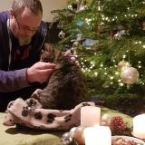 Profilfoto von Ralf Riethmüller