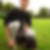 Profilbild von Michael Schulze
