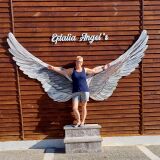 Profilfoto von Cornelia Perlik