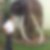 Profilbild von Lothar Heiser
